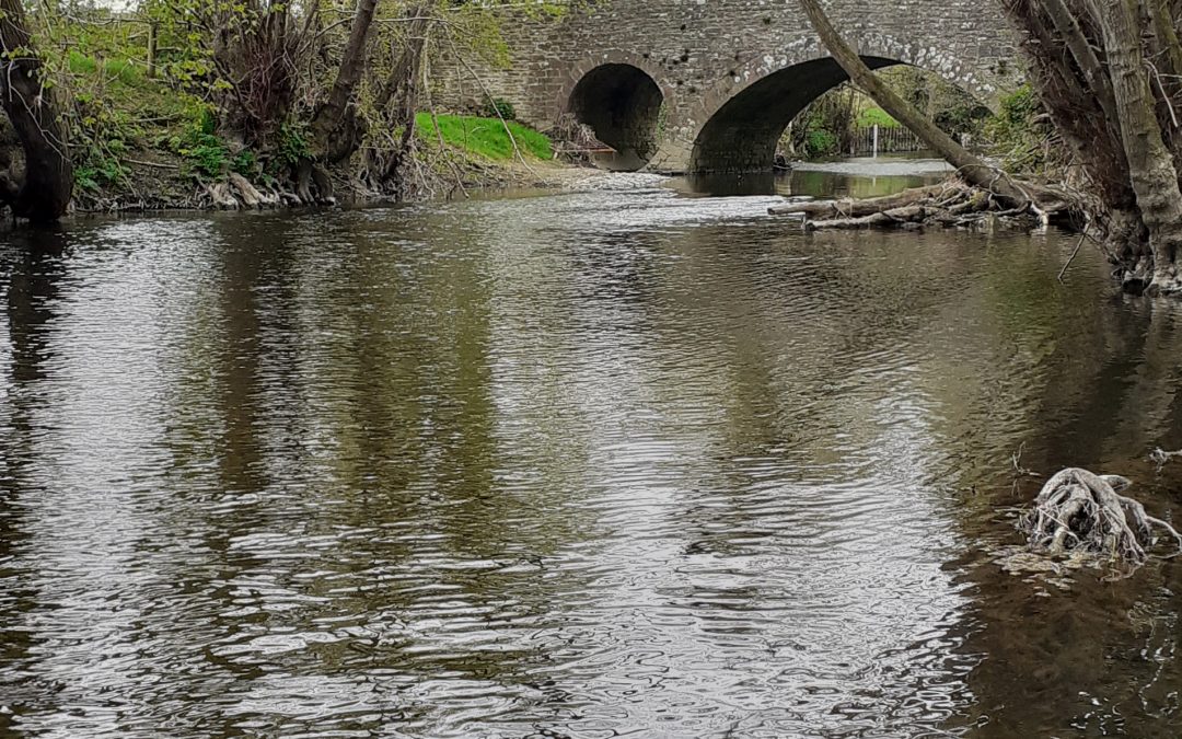 A pleasant mooch on one of my favourite streams …….